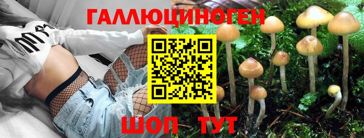 Псилоцибиновые грибы Psilocybe  Псилоцибиновые грибы ЛСД  Вход с VPN  Прохладный 