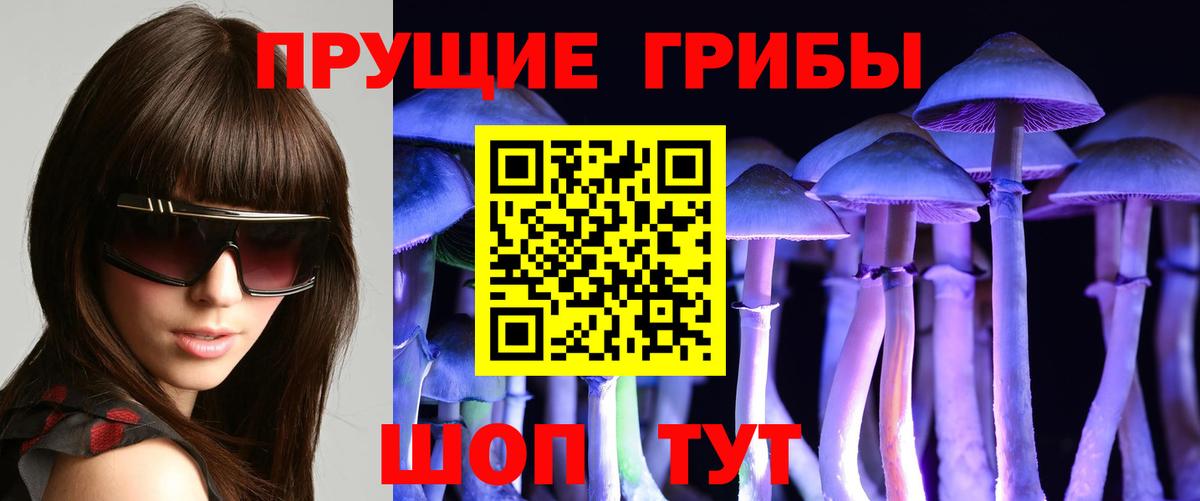 Галлюциногенные грибы Psilocybine cubensis Прохладный
